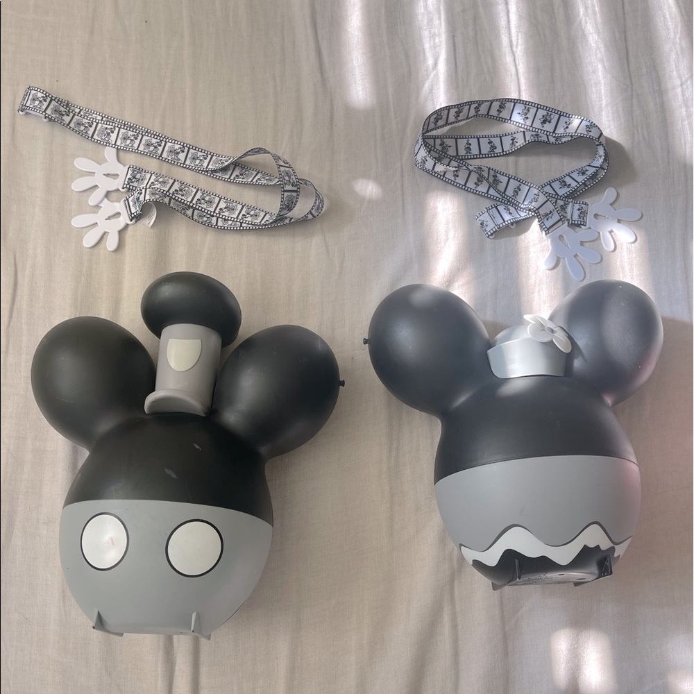 Disney AP popcorn buckets
